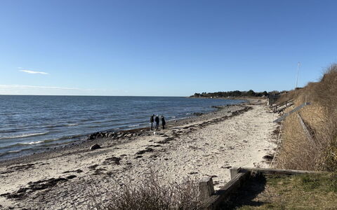 Marillia - 75M from the Sea: Côte, Plage, Cotiers Et Relief Océaniques, Rive, Mer, Horizon, Océan, Banque, Le Sable, Vent Wave