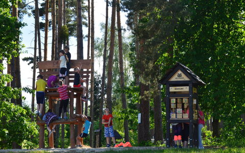 Hradec Kralove 4: Arbre, Bois, Des Loisirs, Espace Public, Loisirs De Plein Air, Loisir, Printemps, Amusement, Parc, Enfant