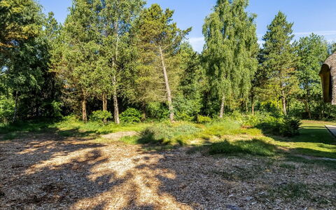 Ullamaj - 700M from the Sea: Feuille, Arbre, Herbe, Branche, Végétation, Arbuste, Communauté Des Plantes, Jardin, Couverture De Sol, Tronc