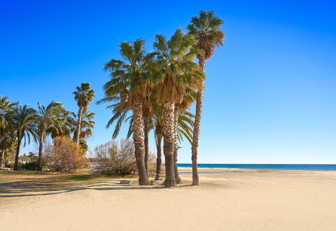 Ainhoa: Bleu, Plage, Été, Paysage, Le Sable, Côte, Tronc, Mer, Tropiques, Cotiers Et Relief Océaniques