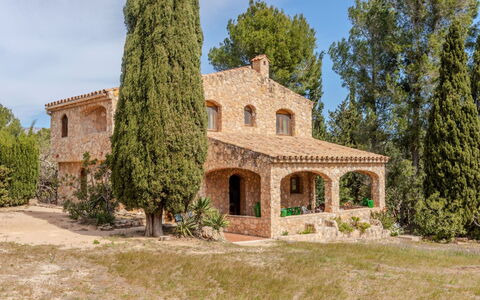 Pins: Arbre, Biens, Ferme, Aménagement Paysager, Hacienda, Villa, À Feuilles Persistantes