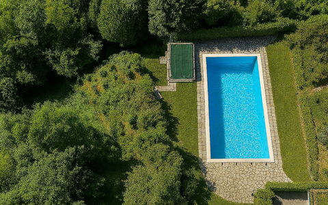 Lake & Pool: Piscine, Jardin, Aménagement Paysager, Pelouse, Arrière-Cour, Ombre, Recours, Conception, Haie, Parc
