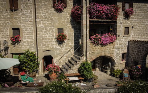 Agriturismo Arcera: Pot De Fleur, Plante D'Appartement, Floristique, Jardin, Cour, Cour, Art Floral, Hacienda