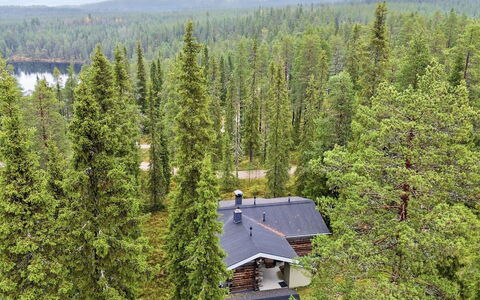 Rukan Kivikelo: Arbre, Environnement Naturel, Feuille, Forêt, Communauté Des Plantes, Mélèze, Des Bois, Réserve Naturelle