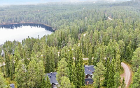 Rukan Kivikelo: Arbre, Environnement Naturel, La Nature, Forêt, Paysage, Communauté Des Plantes, Lot Terre, Des Bois