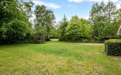 Antoinetta - 350M from the Sea: Arbre, Arbuste, Lot Terre, Jardin, Pelouse, Aménagement Paysager, Cour, Biens, Parc, Ombre