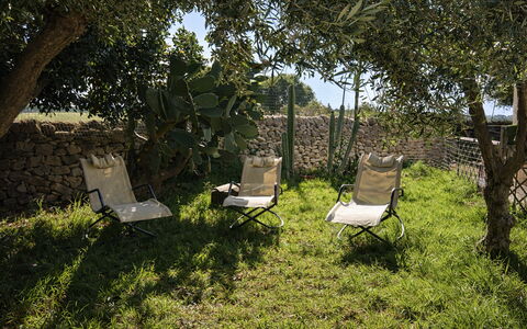 Ranch Salomonello: Meubles, Mobilier De Jardin, Chaise, Chaise Pliante, Ombre, Jardin, Balancelle, Arrière-Cour, Cour, Pelouse