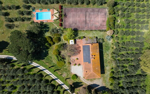 Il Leccio, Vinci, Private Pool and Tennis: Arbre, Paysage, Lot Terre, Biens, Plantation, Jardin, Aménagement Paysager, Vue Du Ciel, Pelouse, Parc