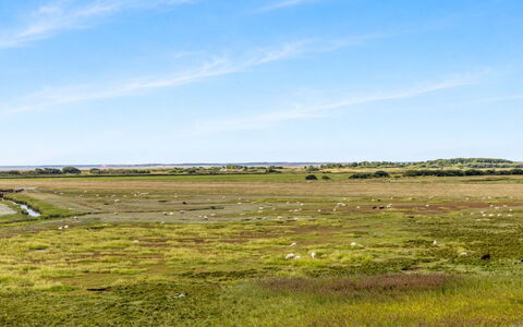Nadua - 25M from the Sea: Ciel, Vert, Environnement Naturel, Prairie, Écorégion, Paysage Naturel, Plaine, Horizon, Steppe, Prairie