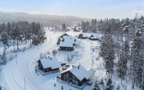 Parashimos B: Neige, L'Hiver, Arbre, Maison, Domicile, Chalet, Zone Résidentielle, Toit, Gelé, Géologique Phénomène