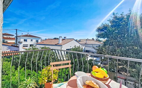 Les Roses: Balcon, Plante D'Appartement, Clôture
