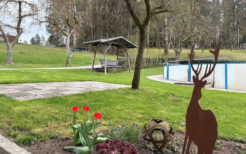 Viechtach 646: Arbre, Herbe, Espace Public, Jardin, Pelouse, Parc, Tronc, Cour, Banc, Ombre