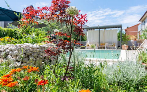 Dolores: Appartement, Balcon, Condominium, Hôtel, Recours, Ville Resort, Hacienda, Villa, Station Balnéaire