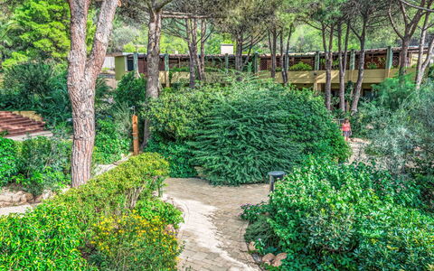 Abbaechelu: Appartement, Balcon, Condominium, Hôtel, Recours, Ville Resort, Hacienda, Villa, Station Balnéaire