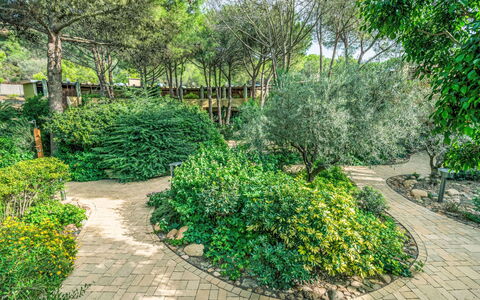 Abbaechelu: Appartement, Balcon, Condominium, Hôtel, Recours, Ville Resort, Hacienda, Villa, Station Balnéaire