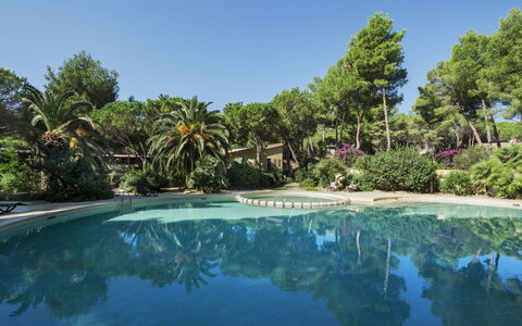 Abbaechelu: Appartement, Balcon, Condominium, Hôtel, Recours, Ville Resort, Hacienda, Villa, Station Balnéaire