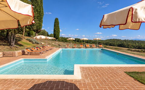 Casa Stella Serena, Casole D'Elsa, Pool: Biens, Hacienda, Aménagement Paysager, Villa, Piscine, Plantation, Ferme