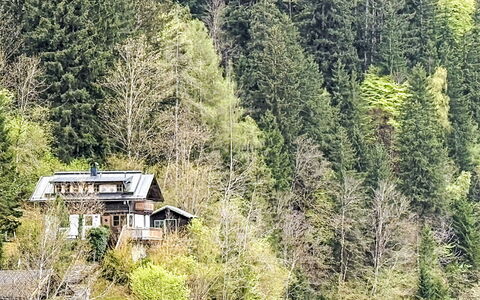 Chalet Kitzsteinhorn: Arbre, Environnement Naturel, Végétation, Maison, Arbuste, Forêt, Chalet, Communauté Des Plantes, Domicile