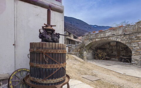 Valtellina 646: L'Eau, Arbre, Piscine, Recours, Jardin, Eco Hôtel, Ombre, Aménagement Paysager, Tropiques