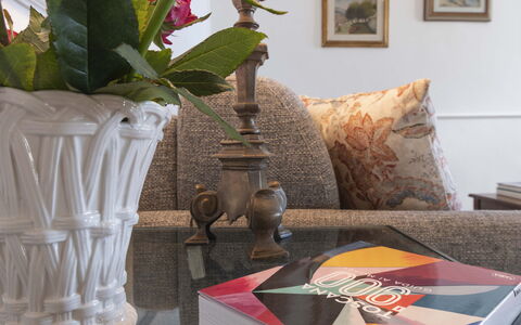 Maison D'Alice: Meubles, Design Intérieur, Éclairage, Cadre, Salon, Coussin, Pièce, Vase, Throw Pillow, Oreiller