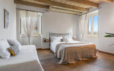 Logement:&nbsp;Rosa Canina