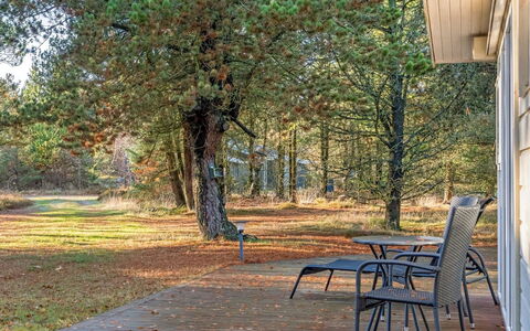 Neval - 150M from the Sea: Arbre, Feuille, Branche, Meubles, Mobilier De Jardin, Ombre, Lumière Du Soleil, Tronc, Brindille, Tableau De Plein Air
