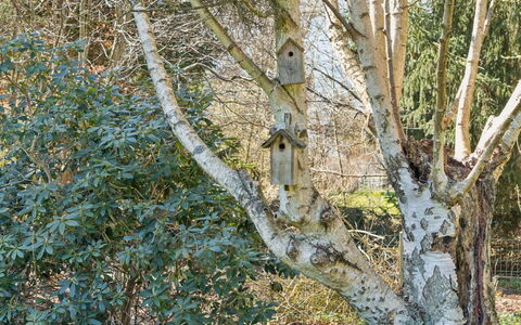 Emelita - 1.1Km from the Sea: Domicile, Chalet, Porche, Siding, Ferme, Structure En Plein Air