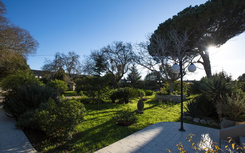Tenuta Renna: Feuille, Vert, La Nature, Arbre, Végétation, Branche, Arbuste, Paysage, Jardin