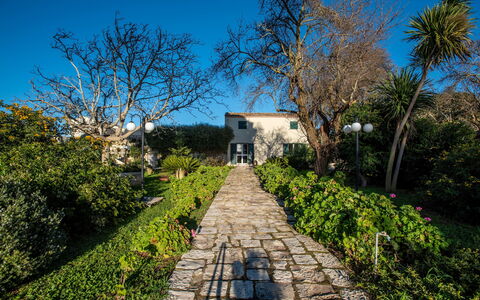 Tenuta Renna: Arbuste, Jardin, Printemps, Aménagement Paysager, Cour, Passerelle, Jardin Botanique