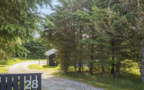Ilya - 900M from the Sea: Arbre, Feuille, Branche, Herbe, Arbuste, Lot Terre, Tronc, Brindille, Des Bois, Chalet