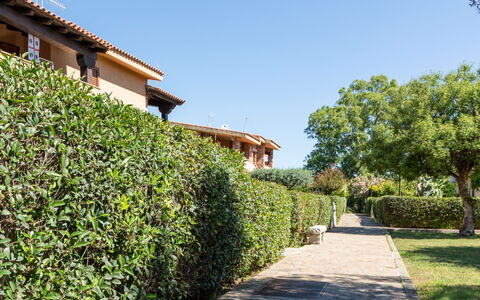 Perla San Teo: Arbuste, Haie, Jardin, Suppression Des Plantes Ligneuses, Ombre, Aménagement Paysager, Plantation, Passerelle, Jardin Botanique
