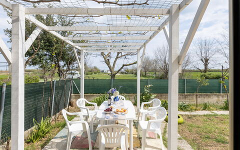 Casa di Lilia: Ombre, Jardin, Structure En Plein Air, Pergola, Aménagement Paysager, Arrière-Cour, Cour, Canopée, Daylighting, Batiments Jardin