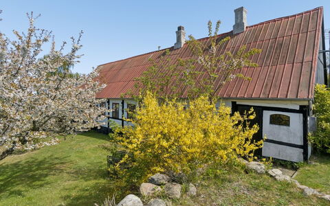 Espen - 300M from the Sea: Herbe, Prairie, Lot Terre, Chalet, Zone Rurale, Prairie, Batiments Jardin, Jardin, Cabanon