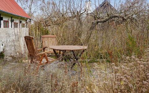 Espen - 300M from the Sea: Arbuste, Zone Rurale, Chalet, Printemps, Ferme, Brindille, Jardin, Arrière-Cour, Cour