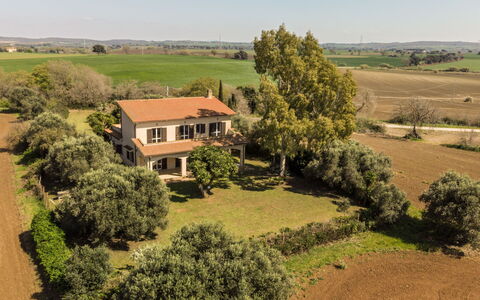 Tarquinia Garden Home: Arbre, Plaine, Prairie, Zone Rurale, Lot Terre, Établissements Humains, Biens, Champ, Plantation