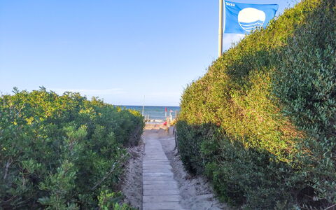 Villa Margherita: Bleu, Mer, Océan, Plage, Côte, Lumière Du Soleil, Loisir, Rive, Tropiques
