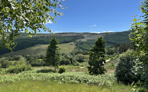Highland Hilltop Retreat: Montagnes Relief, Vert, Arbre, Environnement Naturel, La Nature, Colline, Montagne, Végétation, Paysage Naturel, Prairie