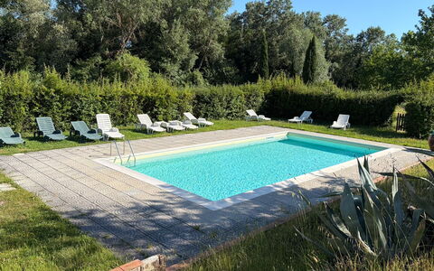 Civico108 Vacation Home, Pool, Castellina in Chian: Piscine, Mobilier De Jardin, Jardin, Recours, Arrière-Cour, Pelouse, Biens, Ombre, Aménagement Paysager, Cour