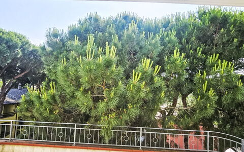 Rosolina Mare 664: Bois, Maison, Chalet, Domicile, Piscine, Porche, Porte, Recours, Ombre, Biens