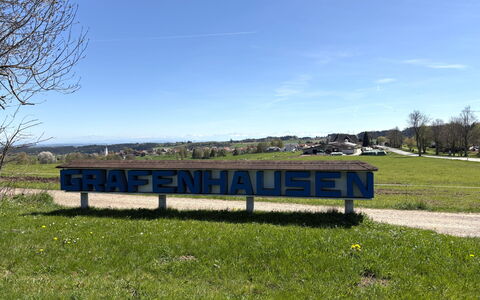 Rothauser Strasse: Arbuste, Zone Résidentielle, Maison, Domicile, Jardin, Couverture De Sol, Chalet, Suppression Des Plantes Ligneuses, Aménagement Paysager, Biens