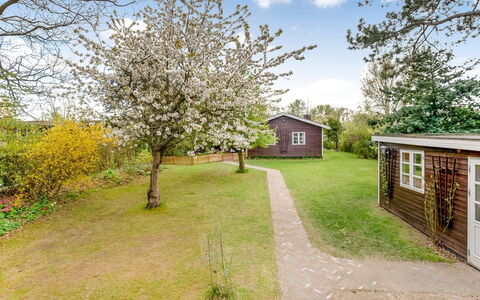 Amina - 500M from the Sea: Arbuste, Jardin, Couverture De Sol, Printemps, Chalet, Pelouse, Cour, Aménagement Paysager, Parc, Arrière-Cour