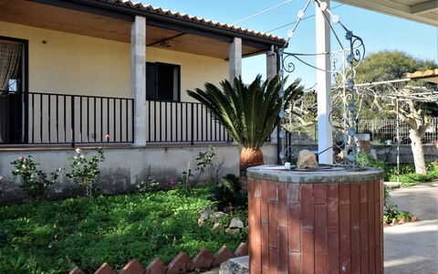 Villa Andrea: Pot De Fleur, Ombre, Jardin, Plante D'Appartement, Aménagement Paysager, Cour, Arrière-Cour, Structure En Plein Air, Cour
