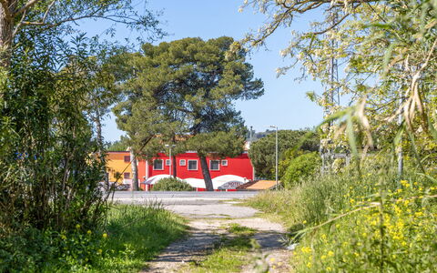 Casale Oleandro Marino: Arbre, Rouge, Arbuste, Lot Terre, Ombre, Aménagement Paysager, Allée