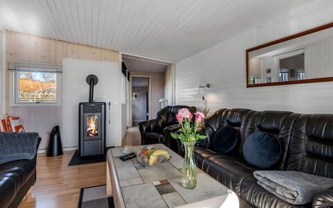 Nisse - 300M from the Sea: Sol, Salon, Canapé, Plafond, Dur, Parquet, Cabane En Rondins, Luminaire
