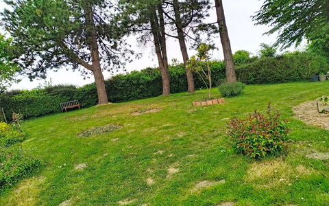 Coin Nature: Meubles, Balcon, Ombre, Jardin, Mobilier De Jardin, Chaise, Porche, Cour, Aménagement Paysager, Arrière-Cour