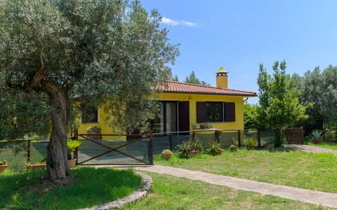 Cottage Girasole di Mare: Arbuste, Chalet, Jardin, Arrière-Cour, Pelouse, Biens, Cour, Ombre, Aménagement Paysager, Hacienda