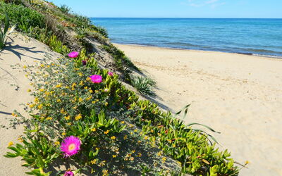 Marina di Sorso 5