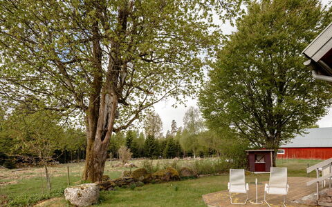 Grönadal: Arbre, Feuille, Branche, Herbe, Arbuste, Lot Terre, Jardin, Pelouse, Brindille