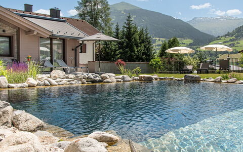 2A Morgensonne mit Weitblick: Roche, Domicile, Chalet, Jardin, Aménagement Paysager, Piscine, Chaîne De Montagnes, Caractéristique De L'Eau, Arrière-Cour