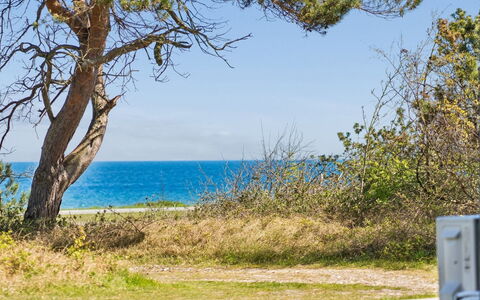 Ilppo - 100M from the Sea: Bleu, Mer, Côte, Cotiers Et Relief Océaniques, Océan, Communauté Des Plantes, Rive, Plage, Prairie, Tropiques